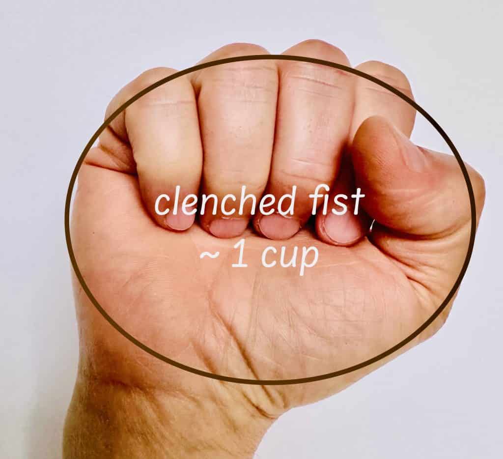 Picture of clenched fist for estimating 1 cup