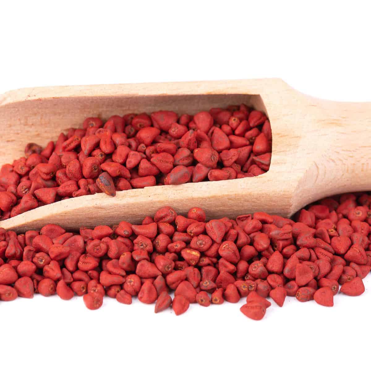Annatto seeds in a wooden measuring spoon