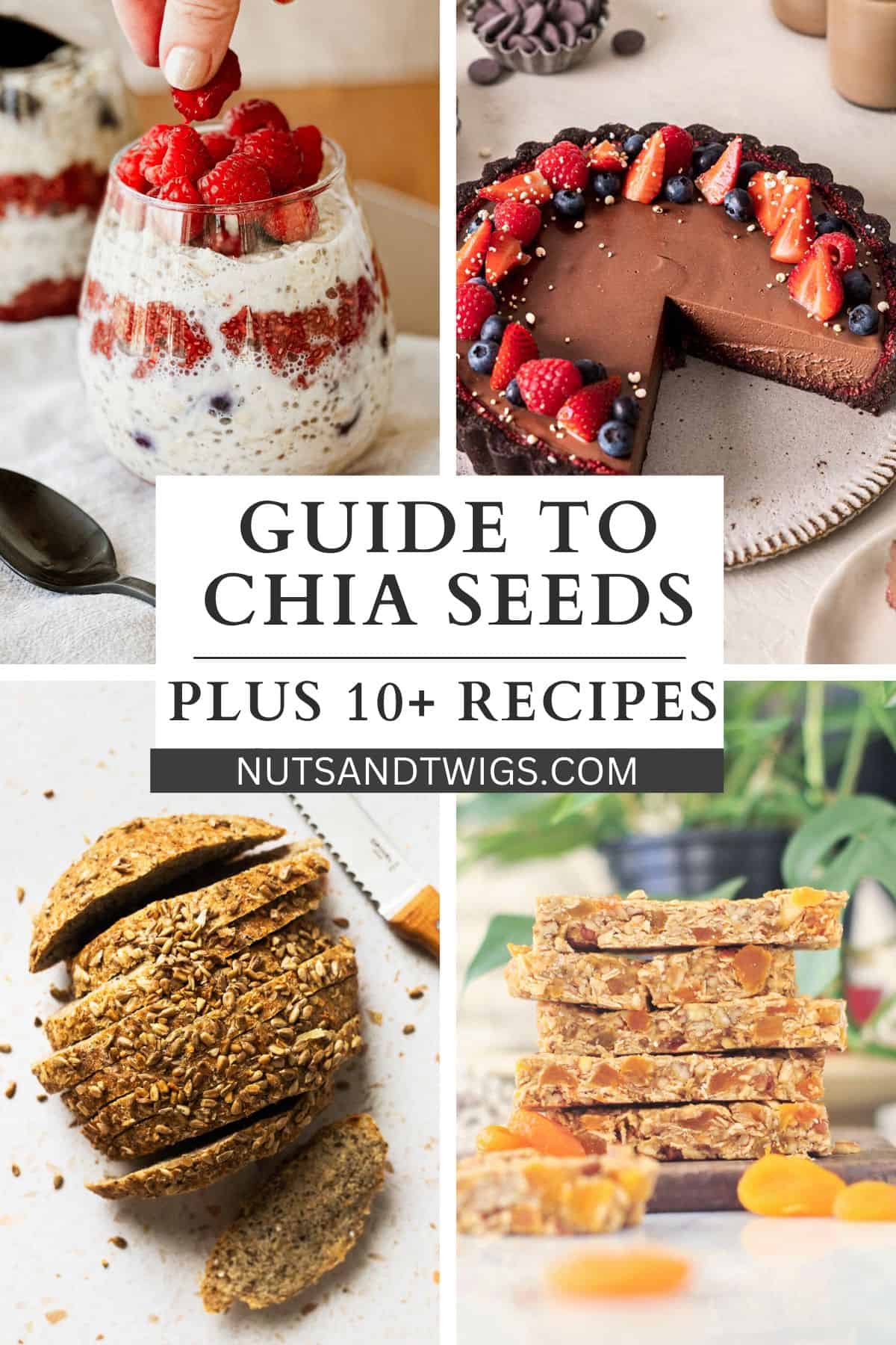 poster of 4 different recipes that contain chia seeds with a label in the middle - Guide to Chia Seeds and 10 plus recipes