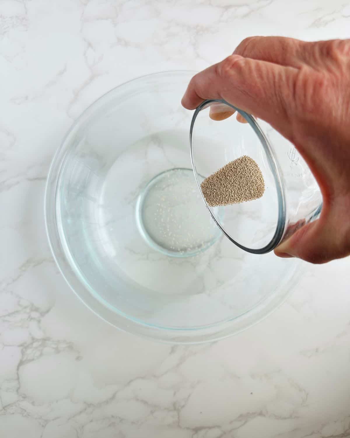 Combine the yeast into the water.