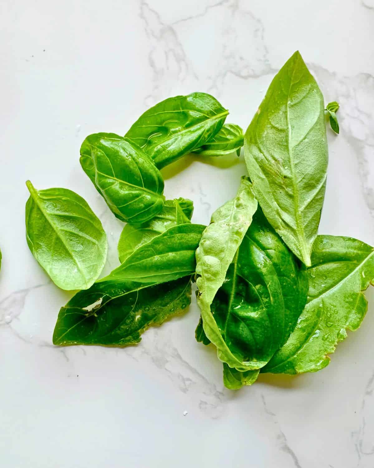 Fresh basil