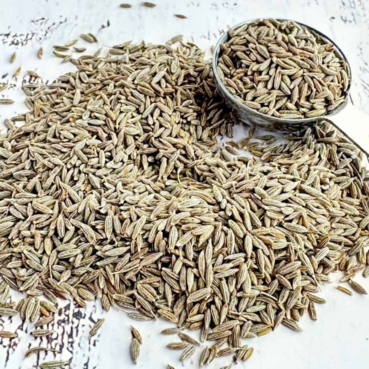 cumin seeds spread on a table with a measuring spoon filled with cumin seeds