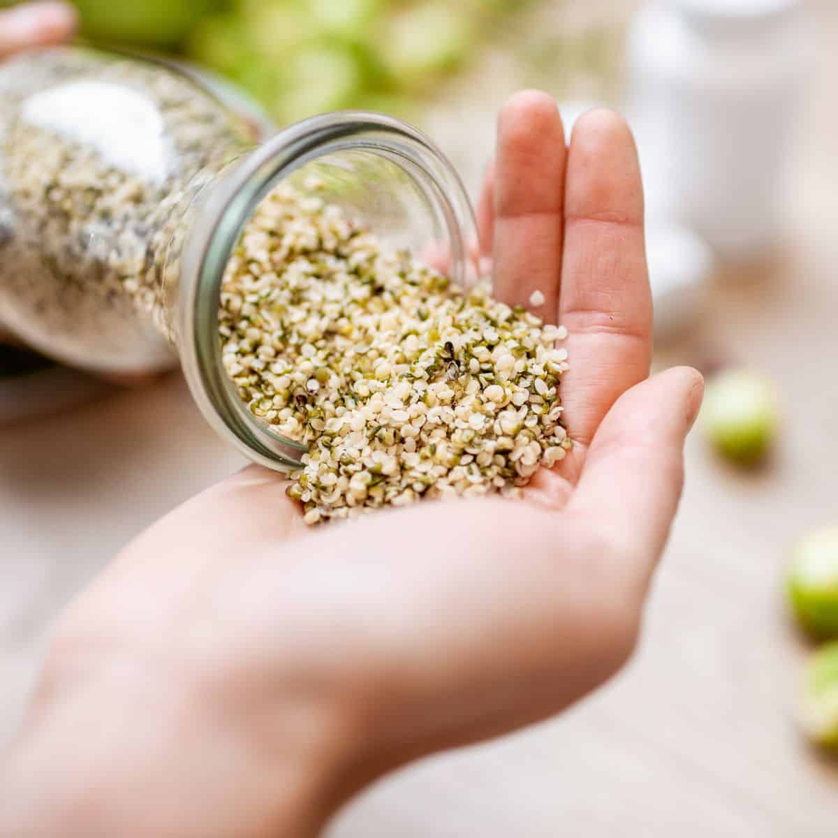 hemp seeds being poured into a hand
