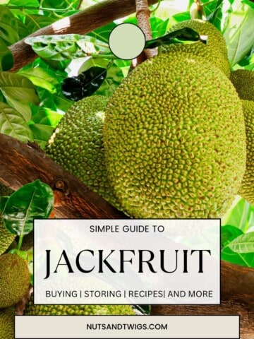 picture of jackfruit on a tree