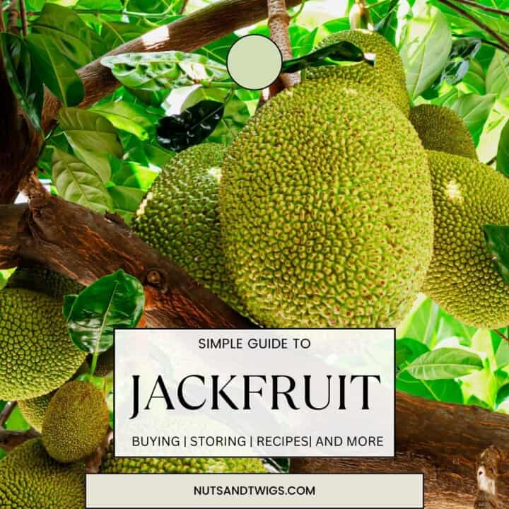 picture of jackfruit on a tree