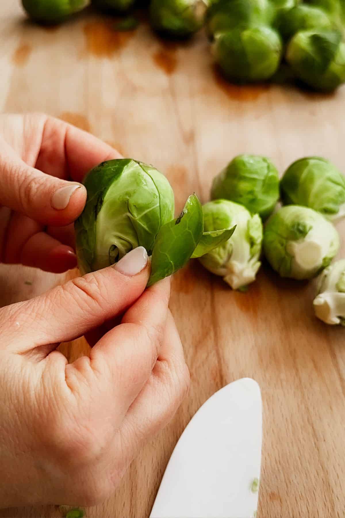 peeling off leaves of brussels sprouts