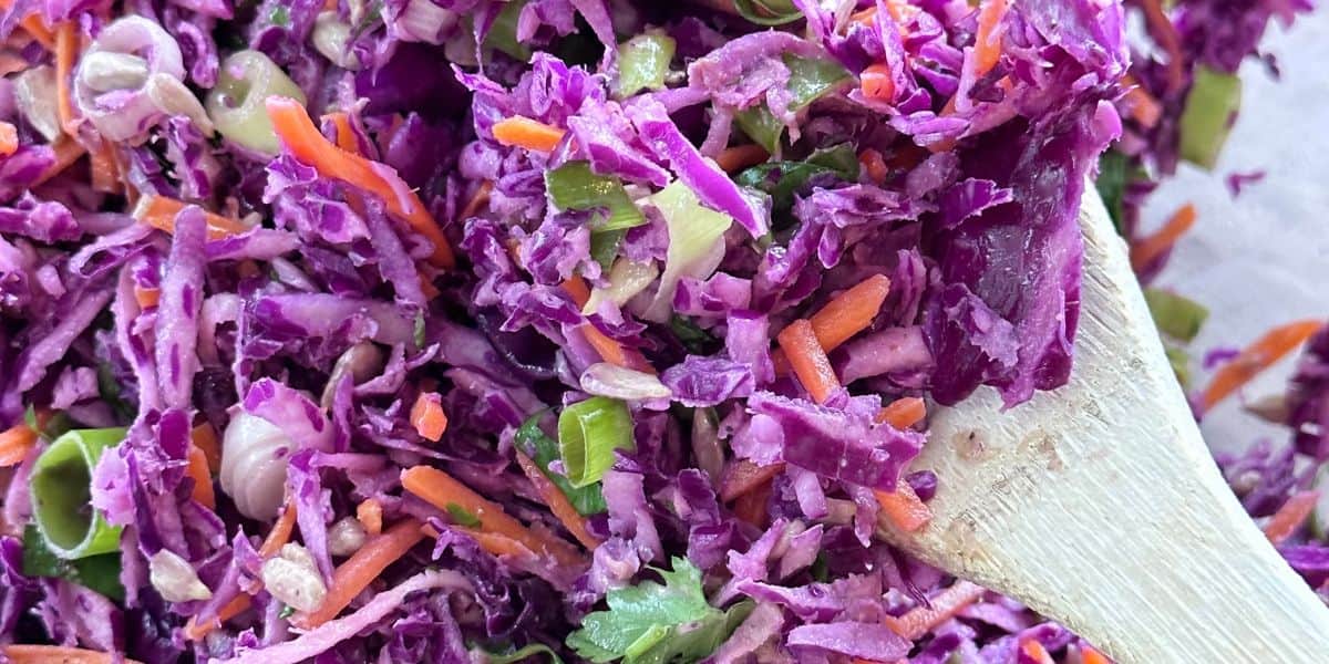 Prepared purple cabbage coleslaw on a wooden spoon