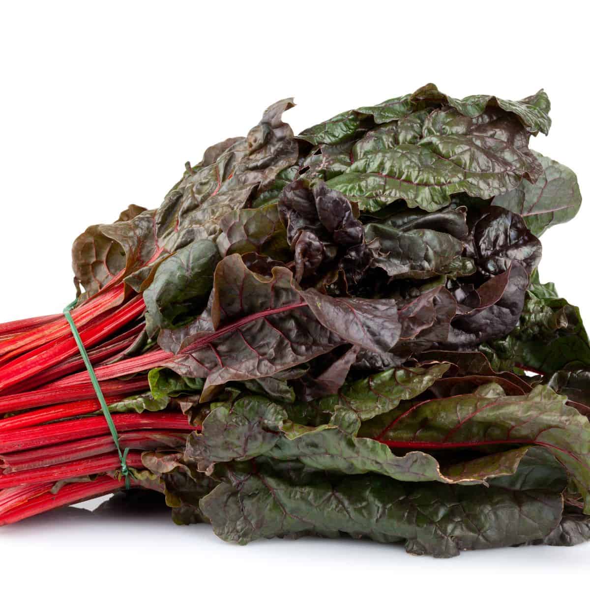 bunch of swiss red chard