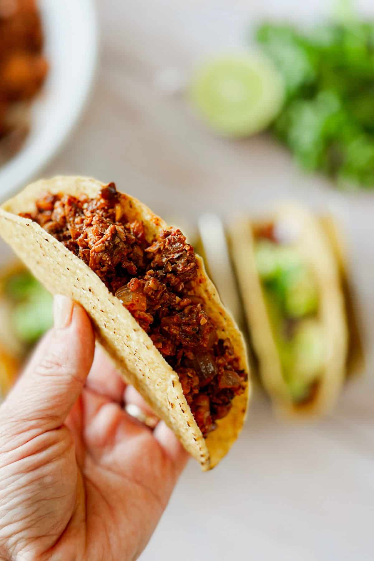 holding a taco with walnut taco meat 