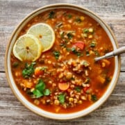 bowl of 10 vegetable soup.
