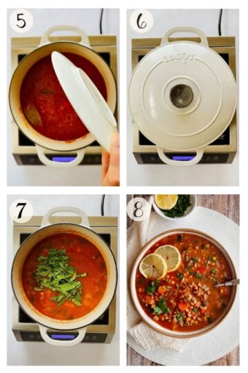 Steps 5-8: tomato broth simmering, the covered pot, spinach added to the soup, and the finished soup with lemon and parsley.
