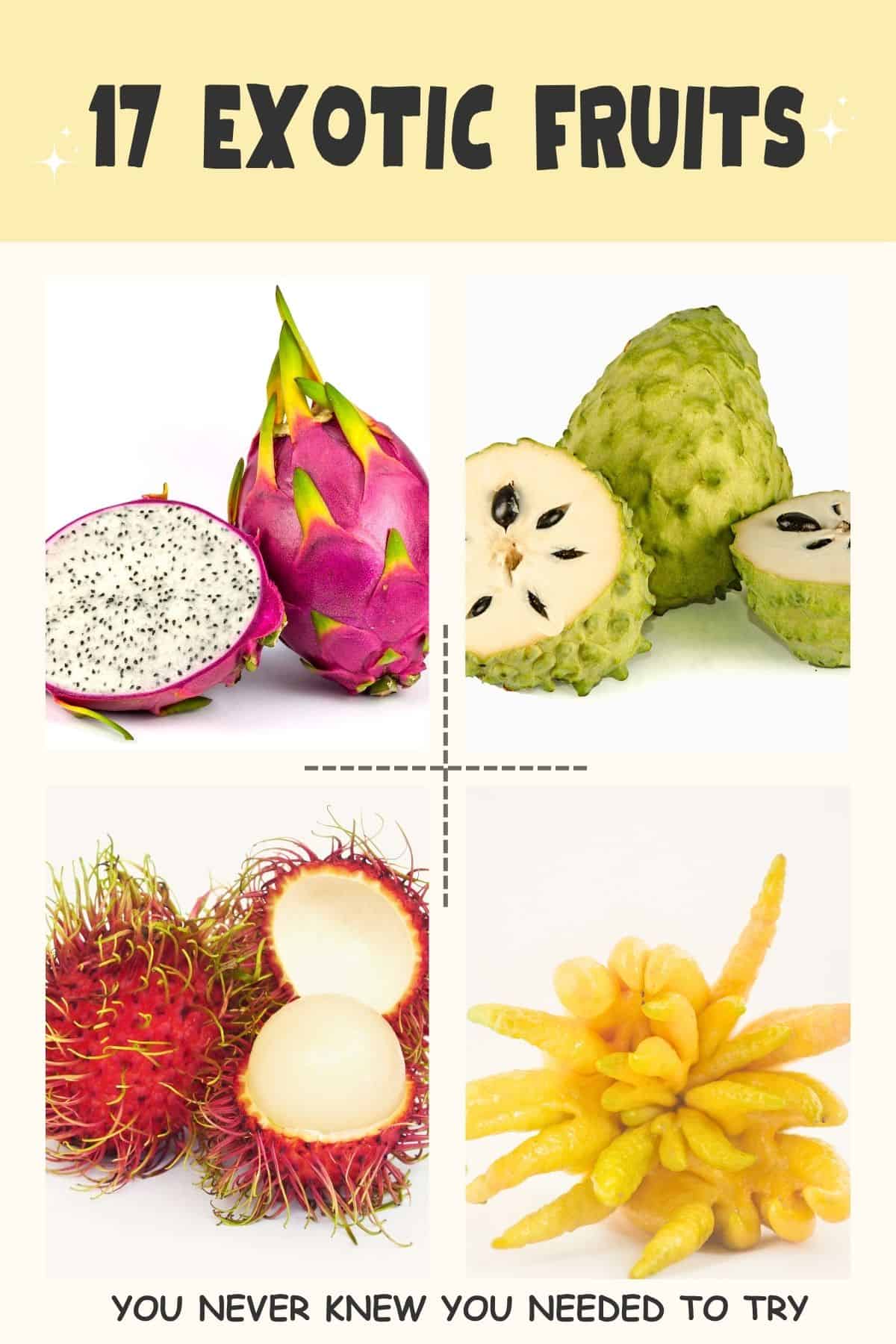 collage of 4 of the exotic fruits.
