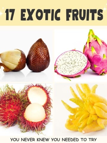collage of 4 exotic fruits.