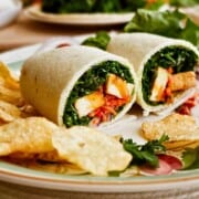 Tofu Wrap with Spicy Apricot Sauce on a plate with chips and salad.