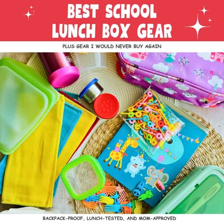 picture showing the gear I recommend like napkins, containers, lunch box, thermos, and bento box.