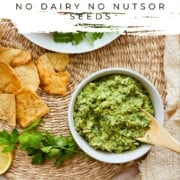 Bowl of Lemony Arugula Artichoke Dip with pita chips and parsley on a woven mat. Text overlay reads: ‘Lemony Arugula Artichoke Dip – No Dairy, No Nuts or Seeds – Ready in 5 Minutes – nutsandtwigs.com.