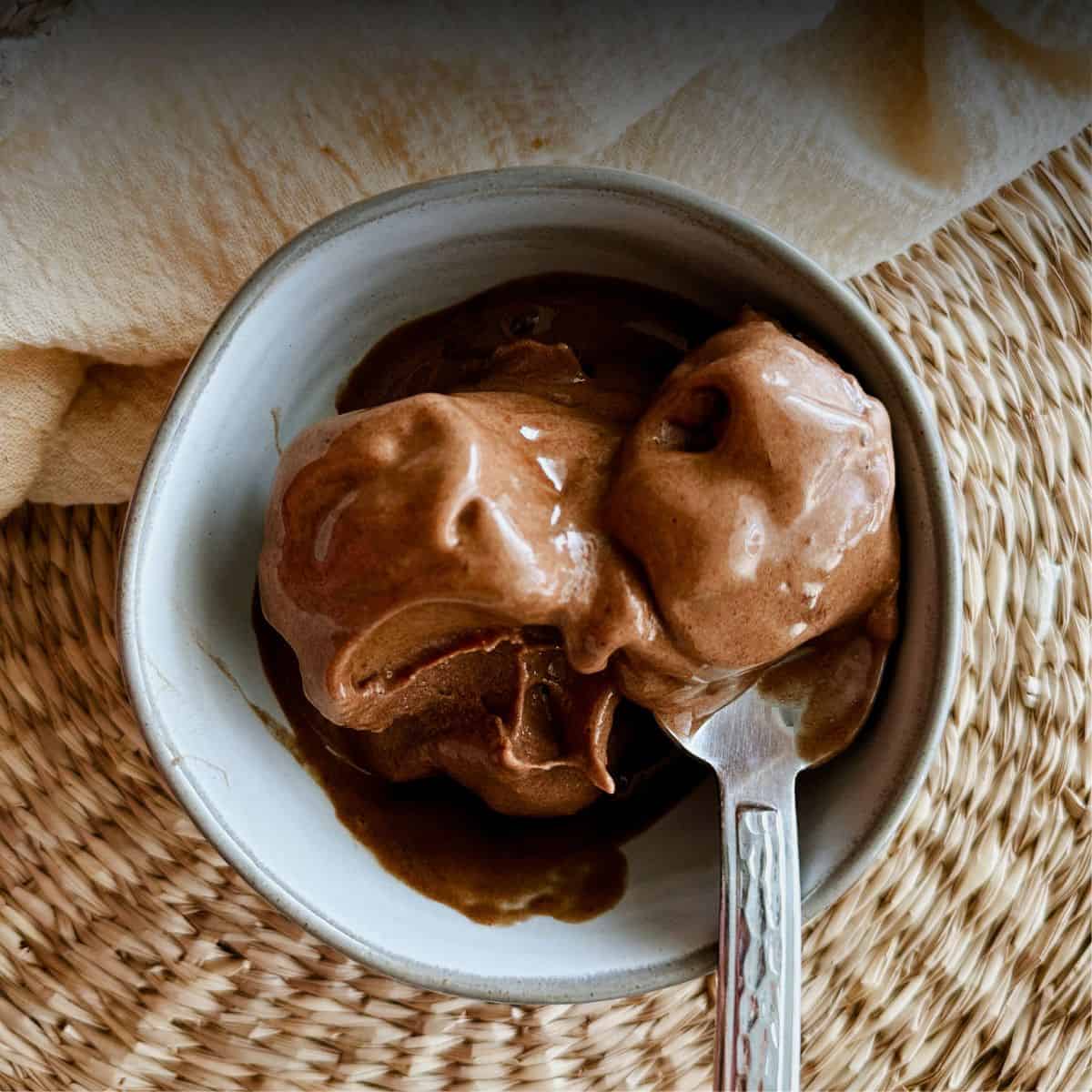 Chocolate Banana Ice Cream