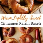 Pinterest-style image showing glossy homemade cinnamon raisin bagels on a baking sheet, with one sliced and buttered. Text overlay reads “Warm. Lightly Sweet Cinnamon Raisin Bagels.”